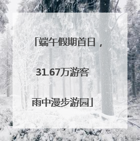 端午假期首日，31.67万游客雨中漫步游园
