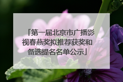 第一届北京市广播影视春燕奖拟推荐获奖和备选提名名单公示