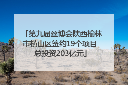 第九届丝博会陕西榆林市横山区签约19个项目 总投资203亿元