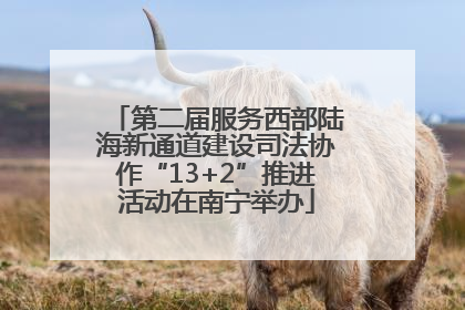第二届服务西部陆海新通道建设司法协作“13+2”推进活动在南宁举办