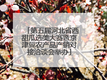第五届河北省西甜瓜选美大赛暨京津冀农产品产销对接洽谈会举办
