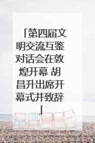 第四届文明交流互鉴对话会在敦煌开幕 胡昌升出席开幕式并致辞