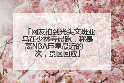 网友拍到光头文班亚马在少林寺晨跑，称是离NBA巨星最近的一次，景区回应