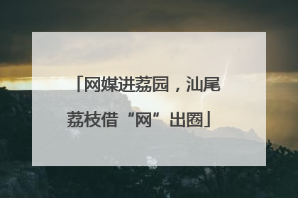 网媒进荔园，汕尾荔枝借“网”出圈