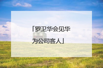 罗卫华会见华为公司客人