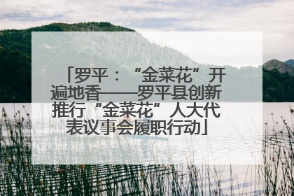 罗平：“金菜花”开遍地香——罗平县创新推行“金菜花”人大代表议事会履职行动
