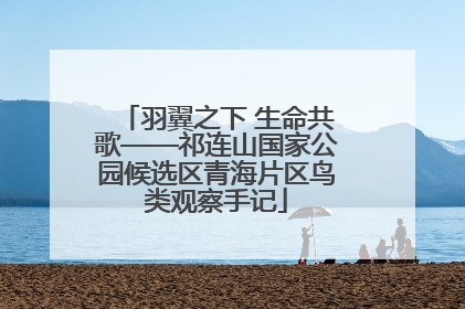 羽翼之下 生命共歌——祁连山国家公园候选区青海片区鸟类观察手记