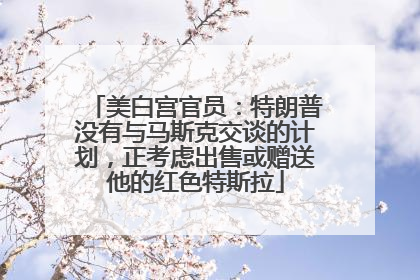 美白宫官员：特朗普没有与马斯克交谈的计划，正考虑出售或赠送他的红色特斯拉
