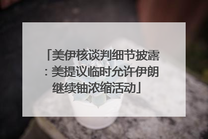 美伊核谈判细节披露：美提议临时允许伊朗继续铀浓缩活动