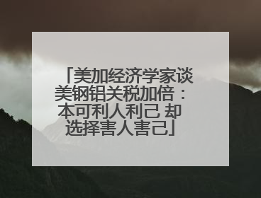 美加经济学家谈美钢铝关税加倍：本可利人利己 却选择害人害己