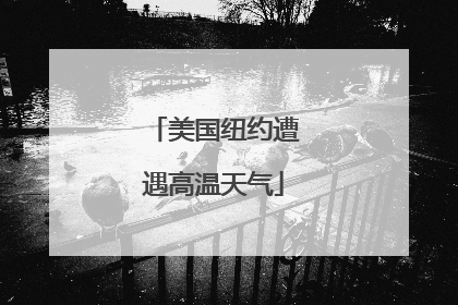 美国纽约遭遇高温天气