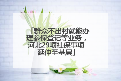 群众不出村就能办理参保登记等业务，河北29项社保事项延伸至基层