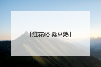 红花峪 桑葚熟