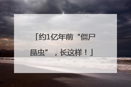 约1亿年前“僵尸昆虫”，长这样！