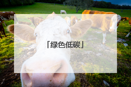 绿色低碳
