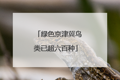 绿色京津冀鸟类已超六百种