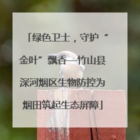 绿色卫士，守护“金叶”飘香—竹山县深河烟区生物防控为烟田筑起生态屏障