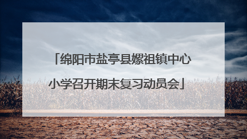 绵阳市盐亭县嫘祖镇中心小学召开期末复习动员会