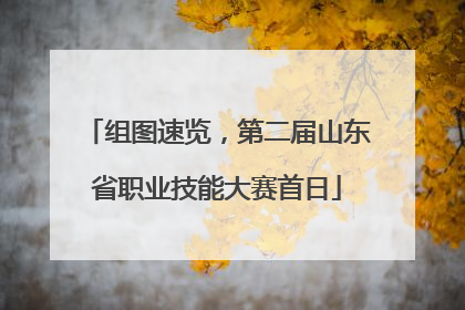 组图速览，第二届山东省职业技能大赛首日