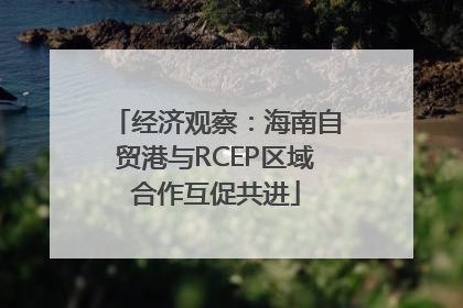 经济观察：海南自贸港与RCEP区域合作互促共进