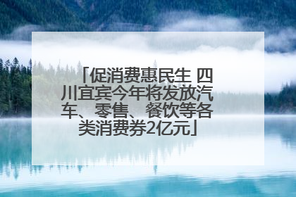 促消费惠民生 四川宜宾今年将发放汽车、零售、餐饮等各类消费券2亿元