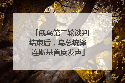 俄乌第二轮谈判结束后，乌总统泽连斯基首度发声