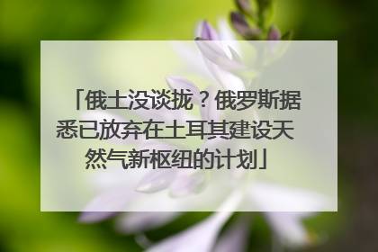 俄土没谈拢？俄罗斯据悉已放弃在土耳其建设天然气新枢纽的计划