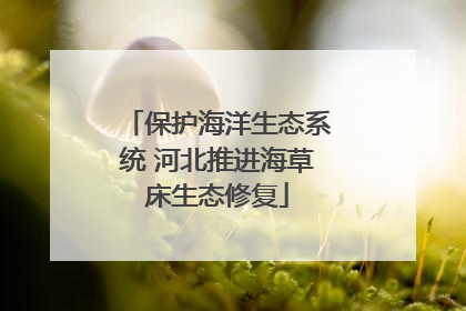 保护海洋生态系统 河北推进海草床生态修复