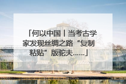 何以中国丨当考古学家发现丝绸之路“复制粘贴”版驼夫……