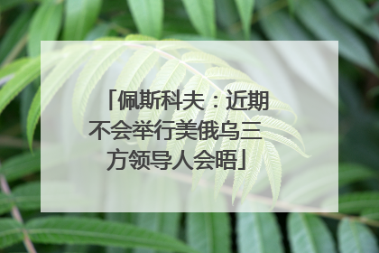 佩斯科夫：近期不会举行美俄乌三方领导人会晤