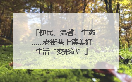 便民、温馨、生态……老街巷上演美好生活“变形记”