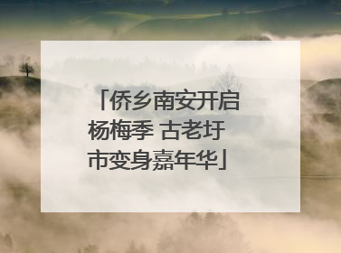 侨乡南安开启杨梅季 古老圩市变身嘉年华