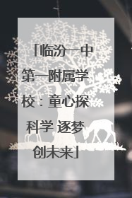 临汾一中第一附属学校：童心探科学 逐梦创未来