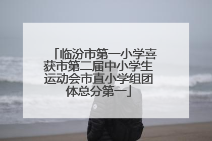 临汾市第一小学喜获市第二届中小学生运动会市直小学组团体总分第一