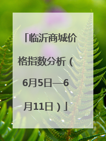 临沂商城价格指数分析（6月5日—6月11日）