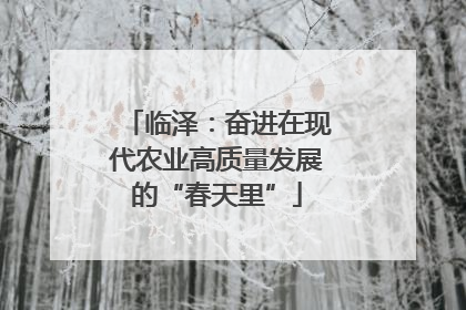 临泽：奋进在现代农业高质量发展的“春天里”