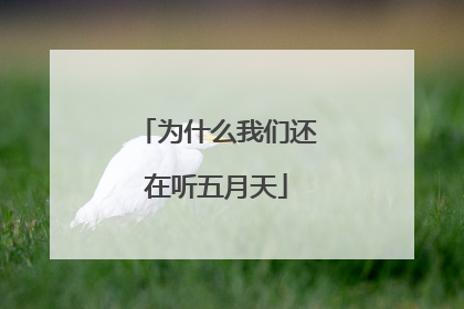 为什么我们还在听五月天