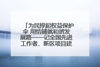 为民撑起权益保护伞 用情铺就和谐发展路——记全国先进工作者、新区项目建设中心干部卢小勇