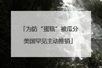 为防“蛋糕”被瓜分 美国罕见主动推销