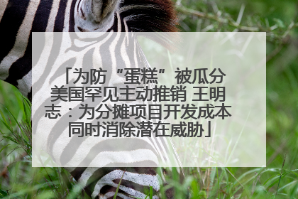 为防“蛋糕”被瓜分 美国罕见主动推销 王明志：为分摊项目开发成本同时消除潜在威胁