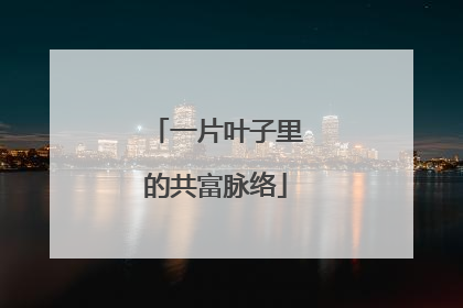 一片叶子里的共富脉络