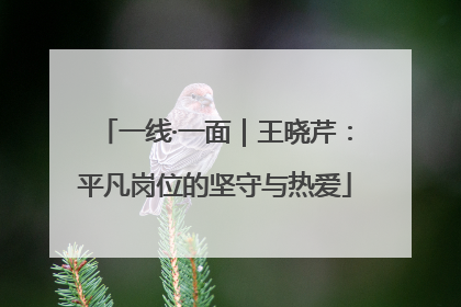 一线·一面｜王晓芹：平凡岗位的坚守与热爱