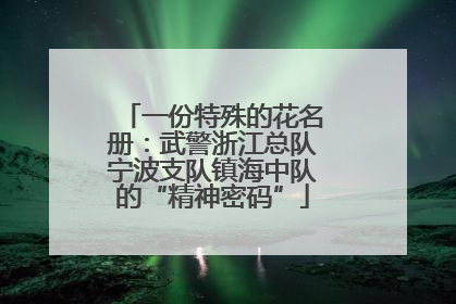 一份特殊的花名册：武警浙江总队宁波支队镇海中队的“精神密码”