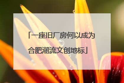 一座旧厂房何以成为合肥潮流文创地标