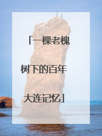 一棵老槐树下的百年大连记忆