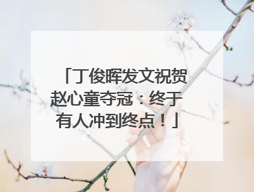丁俊晖发文祝贺赵心童夺冠：终于有人冲到终点！