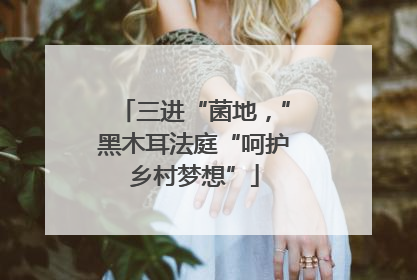三进“菌地，”黑木耳法庭“呵护乡村梦想”
