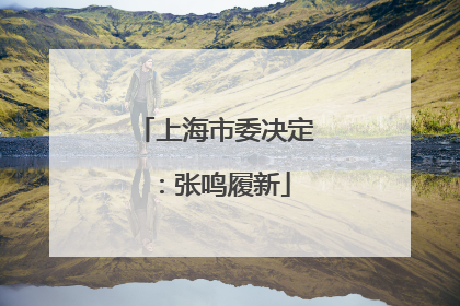 上海市委决定：张鸣履新