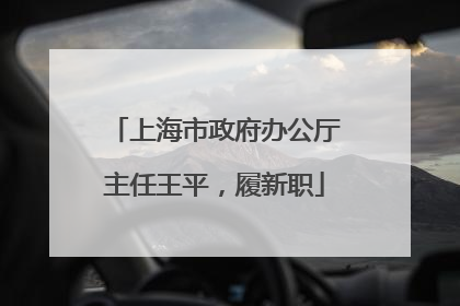 上海市政府办公厅主任王平，履新职