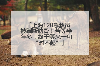 上海120急救员被踹断肋骨！苦等半年多，终于等来一句“对不起”